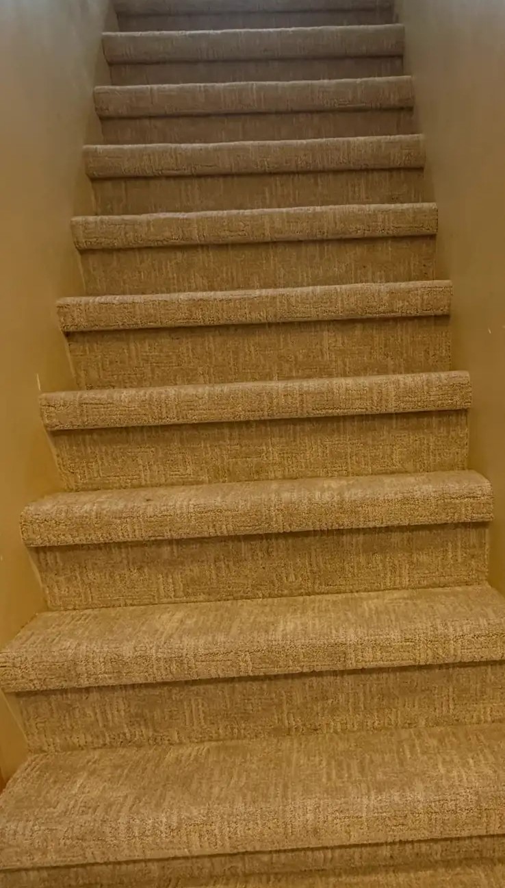 Patterned beige carpet running up a full staircase
